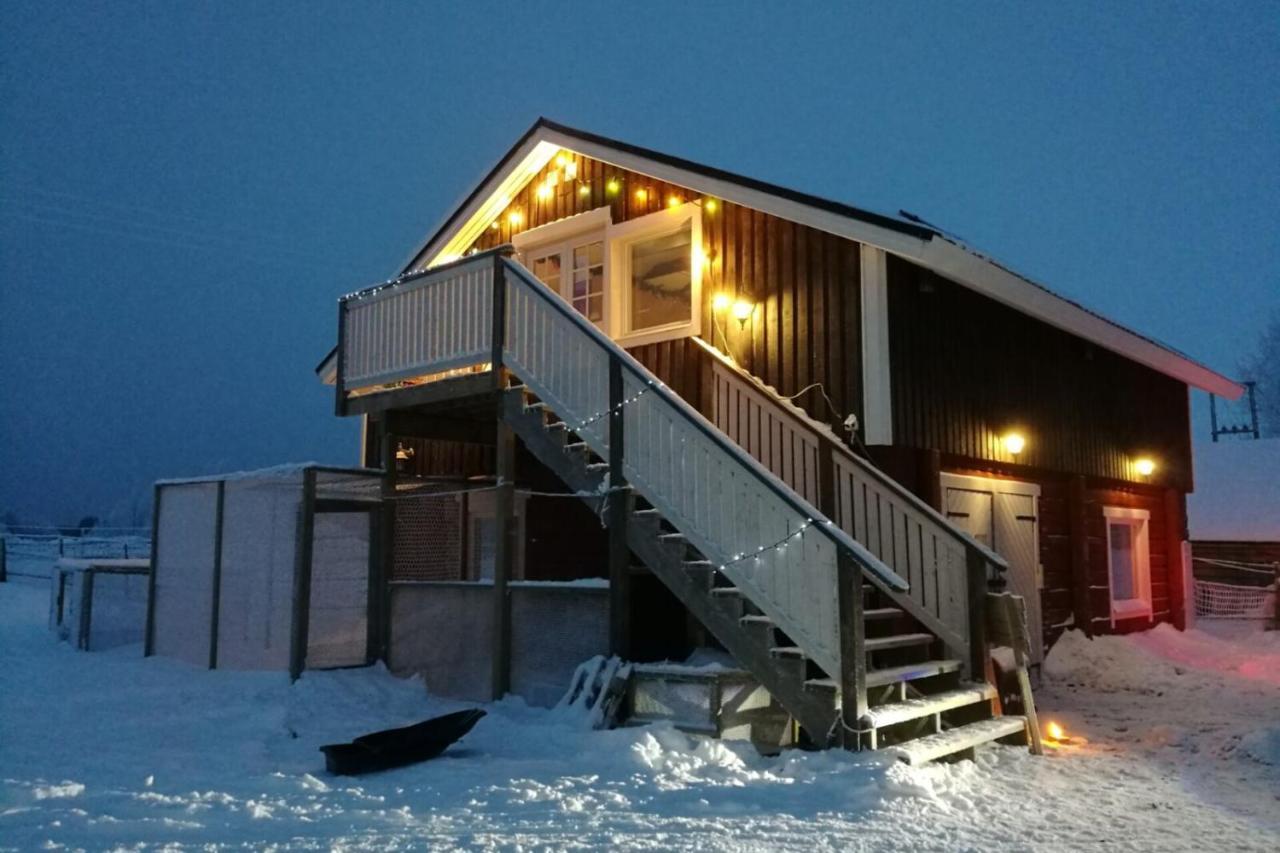 Hotel Loma-Paksu Köngäs Exteriér fotografie